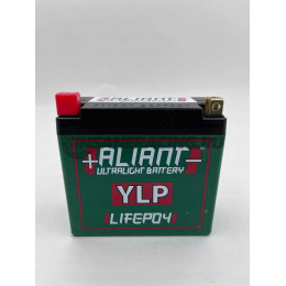 Аккумулятор Aliant YLP24