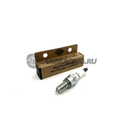 31600012 Свеча зажигания Harley Davidson 6R10