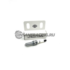 31600190 (5L10) Свеча зажигания Harley - Davidson Pan America / Sportster S