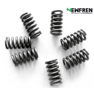 MO084F Пружины сцепления мото к-кт (FSS0307) NEWFREN