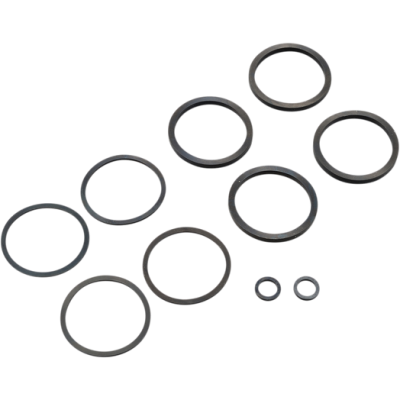 1702-0127, DRAG SPECIALTIES, Caliper rebuild Kit / '00-07 BT / Seals only | alt partnumbers: 44315-00