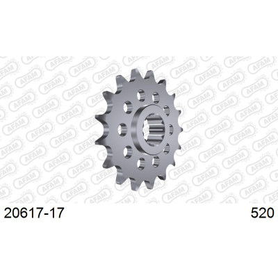 20617-17 звезда передняя (ведущая) стальная , 520, AFAM (JTF1373.17)