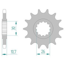 21607OEM-16 звезда передняя (ведущая) стальная с демпфером, 525, AFAM (JTF1591.16)