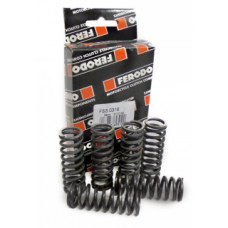 FSS0316 пружины сцепления мото к-кт