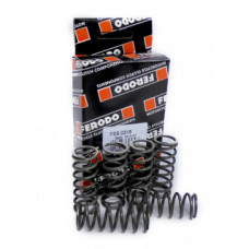 FSS0318 пружины сцепления мото к-кт