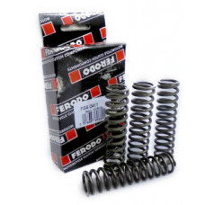 FSS0411 пружины сцепления мото к-кт